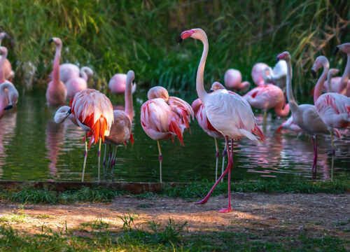 Homa Bay Tour