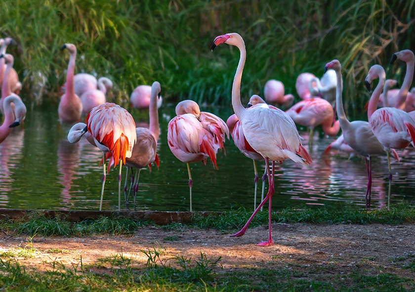 Homa Bay Tour